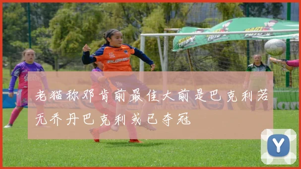 老猫称邓肯前最佳大前是巴克利若无乔丹巴克利或已夺冠