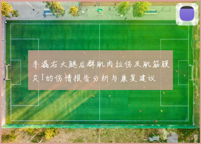 李磊右大腿后群肌肉拉伤及肌筋膜炎I的伤情报告分析与康复建议