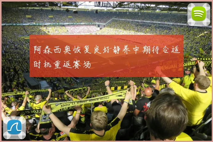 阿森西奥恢复良好静养中期待合适时机重返赛场