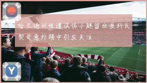 哈兰德训练遭误伤小腿留血痕科瓦契奇意外踢中引发关注